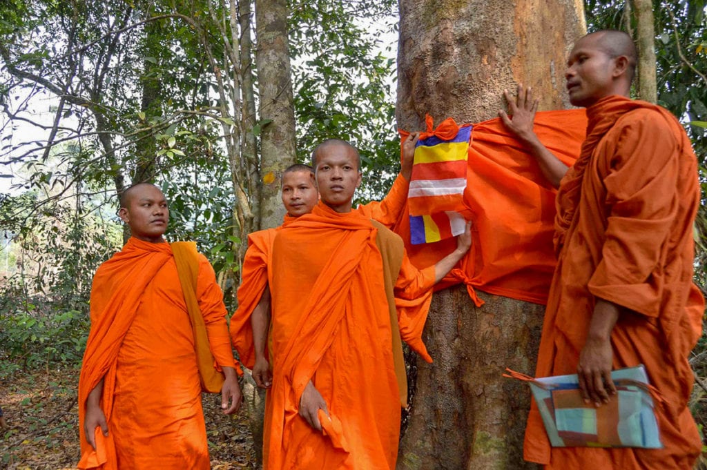Monks Ordain Tree