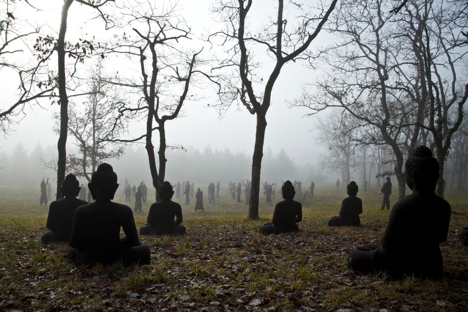 Practising mindful movements on the Buddha Hill in Plum Village