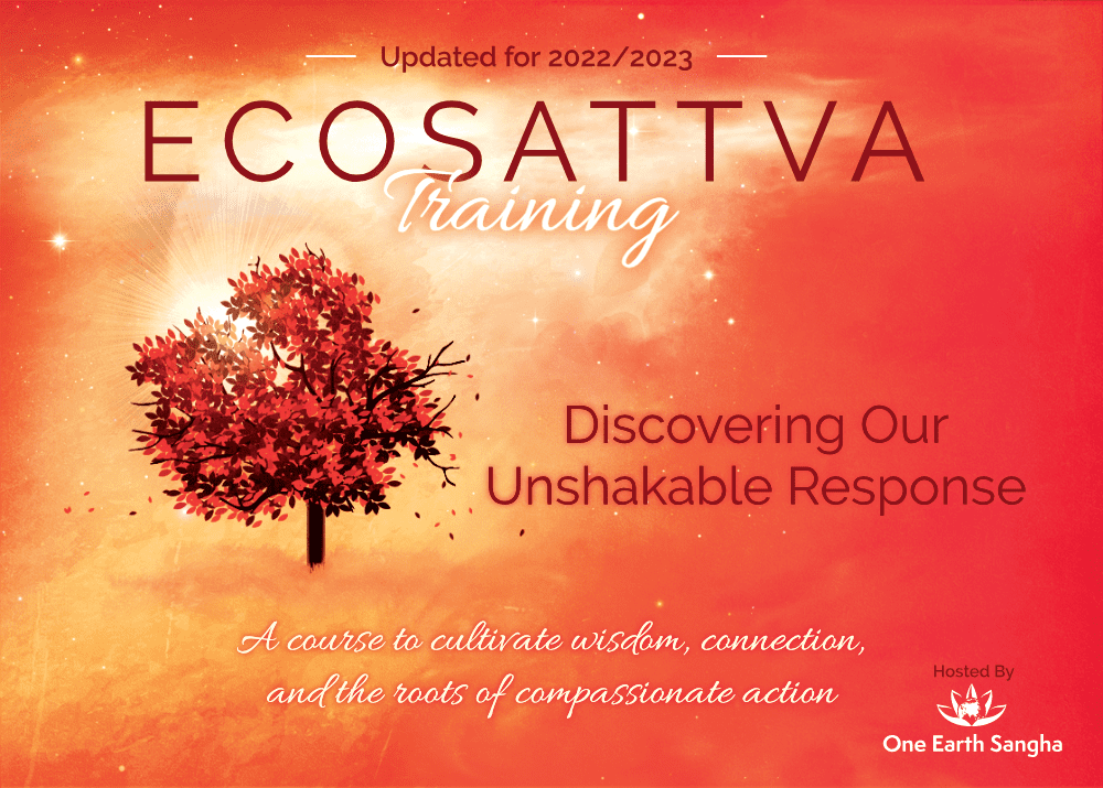 The EcoSattva Training: Discovering Our Unshakable Response. A course to cultivate wisdom, connection, and the roots of compassionate action.