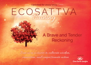 Graphic for the EcoSattva Training 2023-24: A Brave and Tender Reckoning
