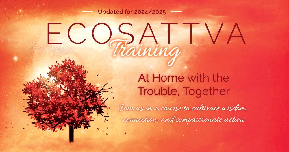 The EcoSattva Training