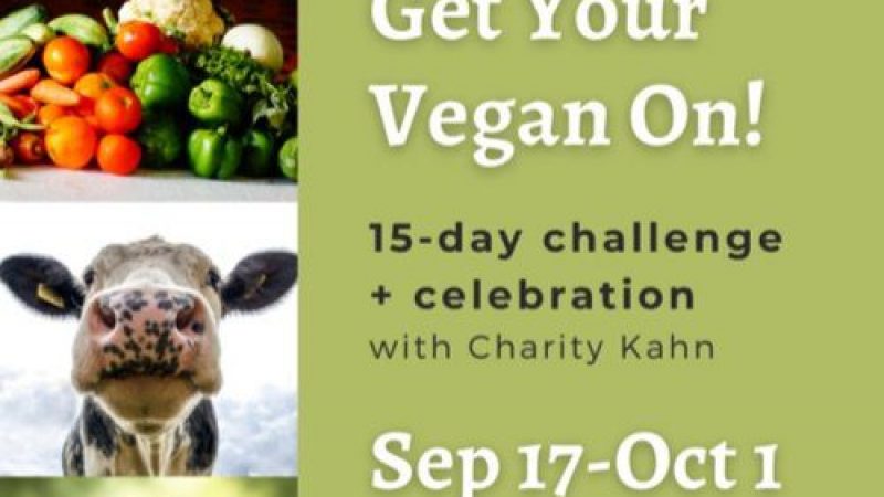 15-day+vegan+challenge+Sep+17-Oct+1+2022+FB
