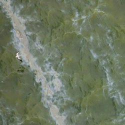 Brown pelicans flying over oil on the water in Barataria Bay. LA, USA. Flight provider Southwings. © J Henry Fair — Used with permission.