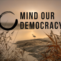 Mind Our Democracy - Image