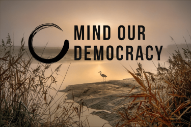 Mind Our Democracy - Image
