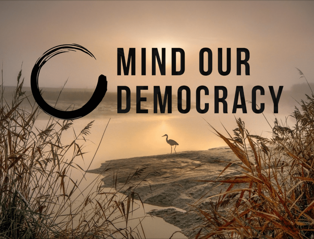 Mind Our Democracy - Image