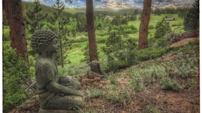 Retreat-Image-Buddha-at-RMERC