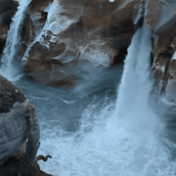 SpiritualEcologyShot