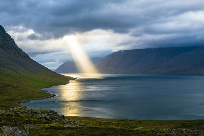 © Davide Cantelli from Unsplash