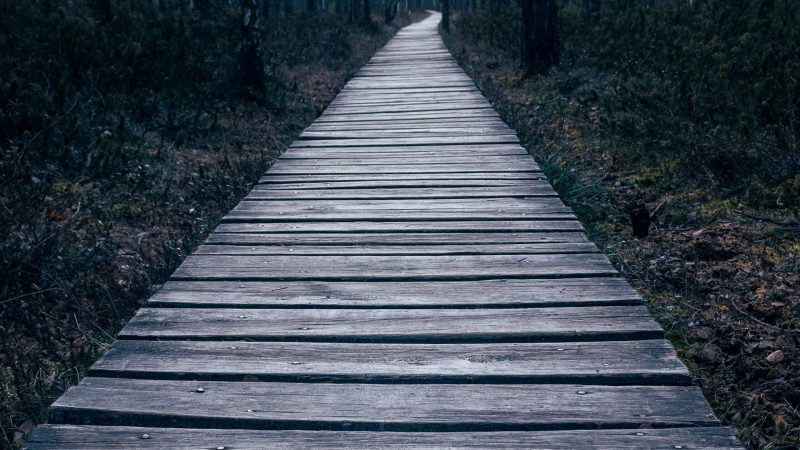 © Edvinas Daugirdas from Unsplash