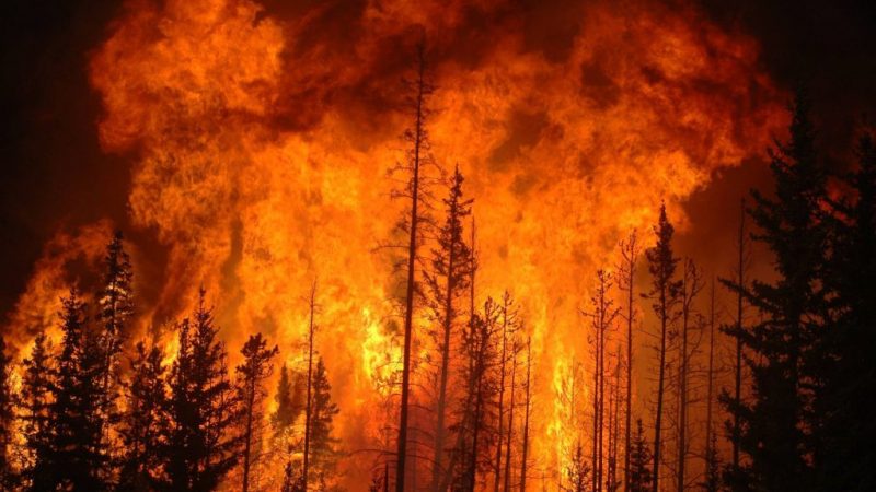 fire-1024x680