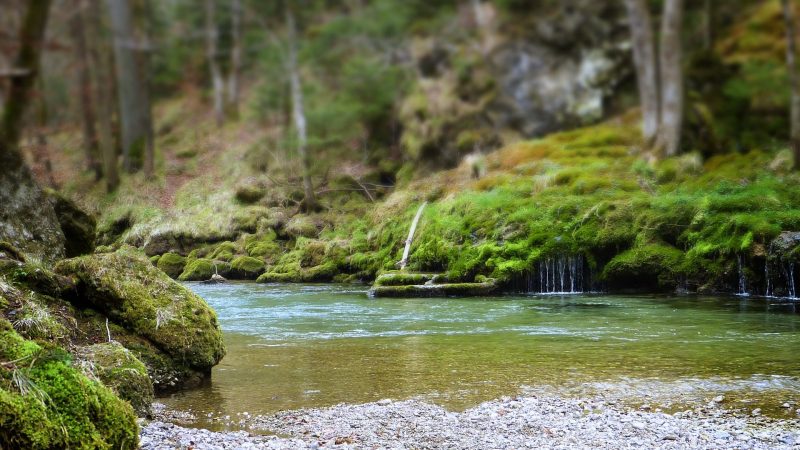 flow-4981495_1920