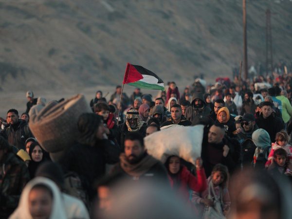 © hosny salah from Pixabay