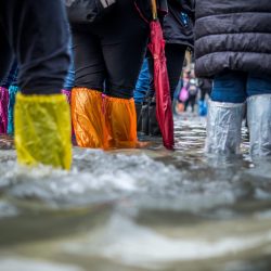Tourists try to stay dry in a flooded St. Mark's Square, Venice. © Jonathan Ford from Unsplash