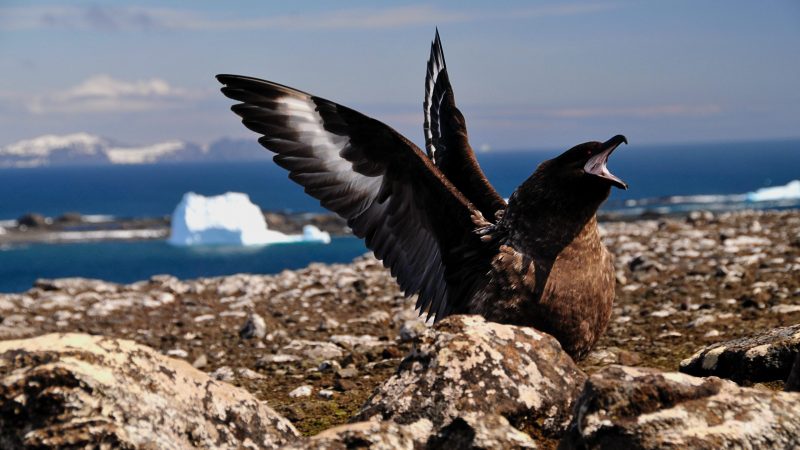 Photo by NOAA on Unsplash