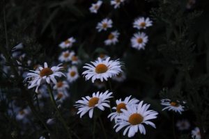 © Tamara Gore with Unsplash