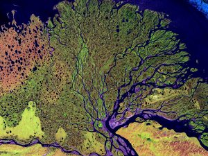 Lena Delta Reserve, Russia © USGS from Unsplash