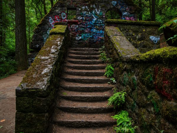 © Walter Martin from Unsplash